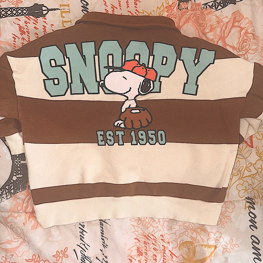 Zara toddler boy Penuts Snoopy sweater.